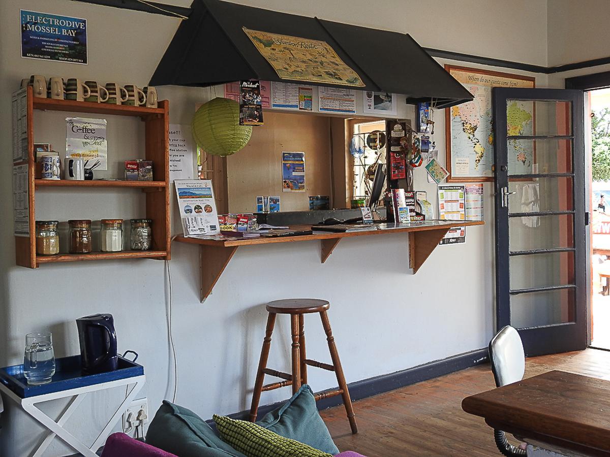 הוסטל מוסל ביי Mosselbay Backpackers מראה חיצוני תמונה