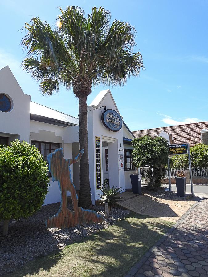 הוסטל מוסל ביי Mosselbay Backpackers מראה חיצוני תמונה